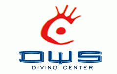 DWS